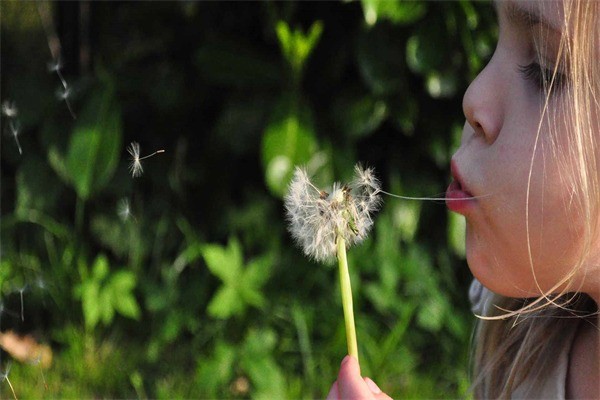 樂領(lǐng)智能青少年家居