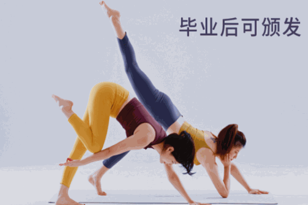 禪逸瑜伽學(xué)院