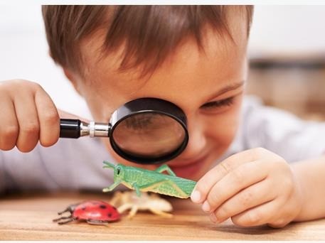 美國科蒂思維學(xué)科英語