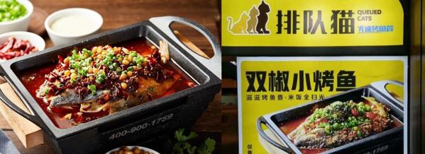 排隊(duì)貓酸菜魚(yú)