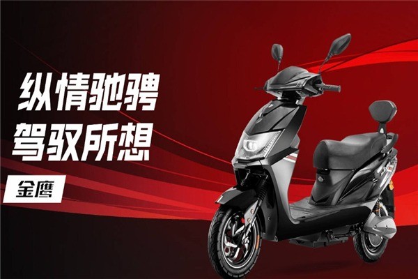 綠佳電動(dòng)車