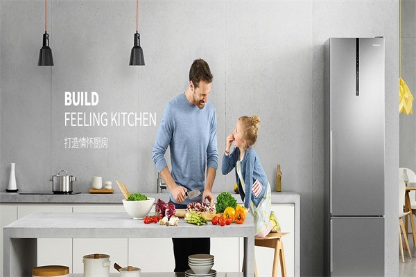 普雪廚衛(wèi)電器