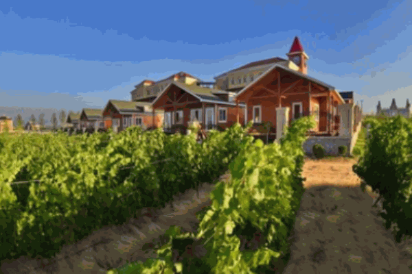 臺依湖國際酒莊