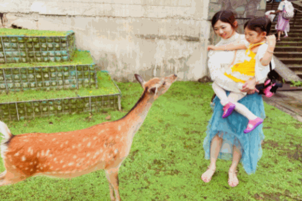 豚寶寶成長中心