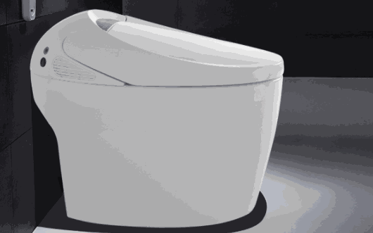 維衛(wèi)智能馬桶蓋