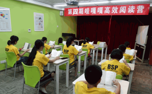 哇嘎嘎大腦英才