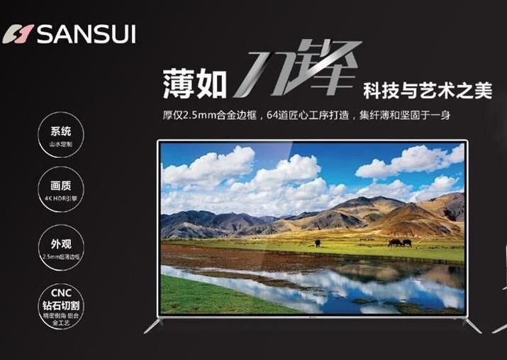 山水廚衛(wèi)電器