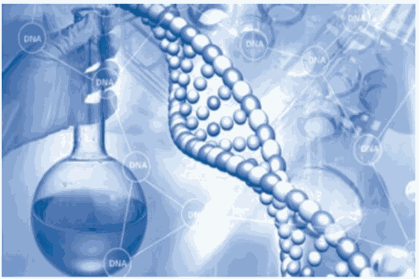 首度基因基因檢測(cè)