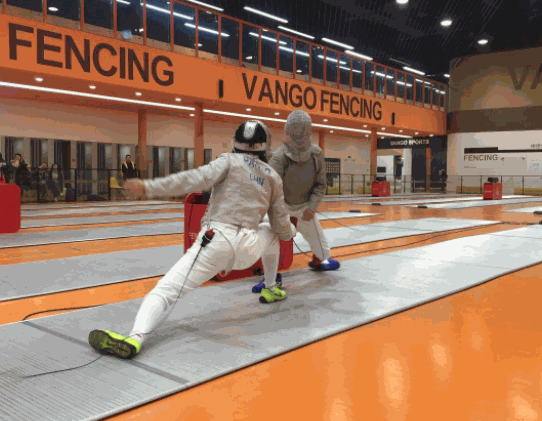 萬(wàn)國(guó)擊劍