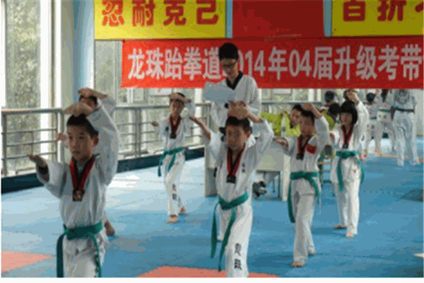 龍珠跆拳道