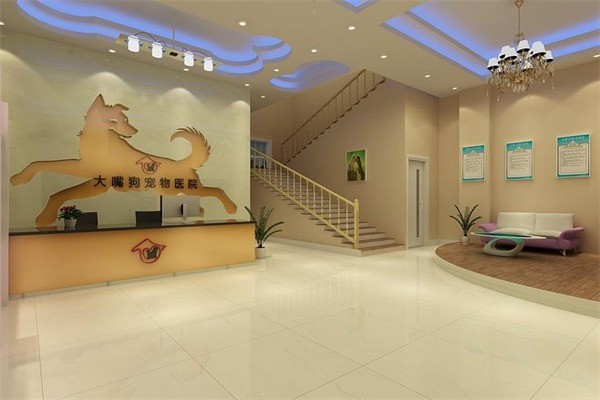 大嘴狗寵物技術(shù)培訓(xùn)學(xué)校