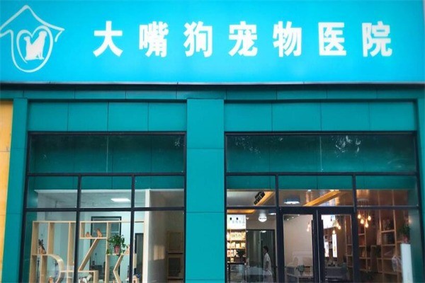 大嘴狗寵物技術(shù)培訓(xùn)學(xué)校