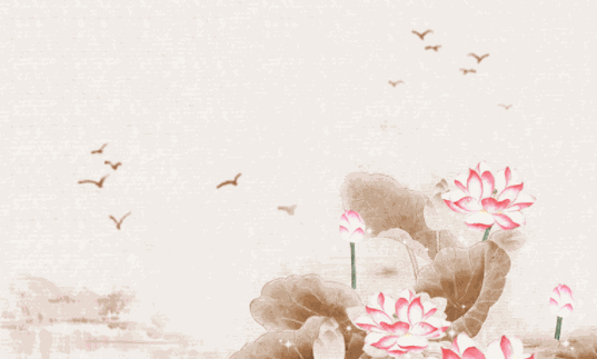 五指小郎中小兒推拿