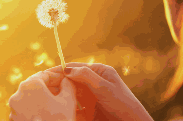 香飄飄珍珠奶茶