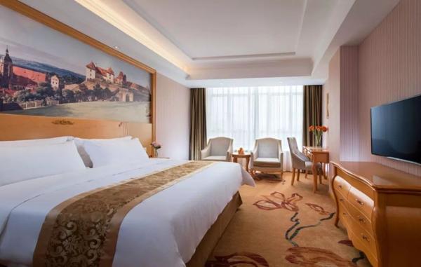 維也納盧浮酒店