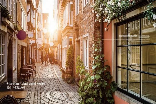 埃得穆勒門(mén)窗