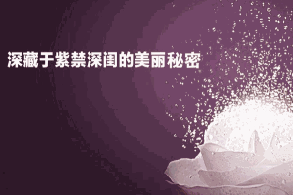 御蜂坊美容養(yǎng)生