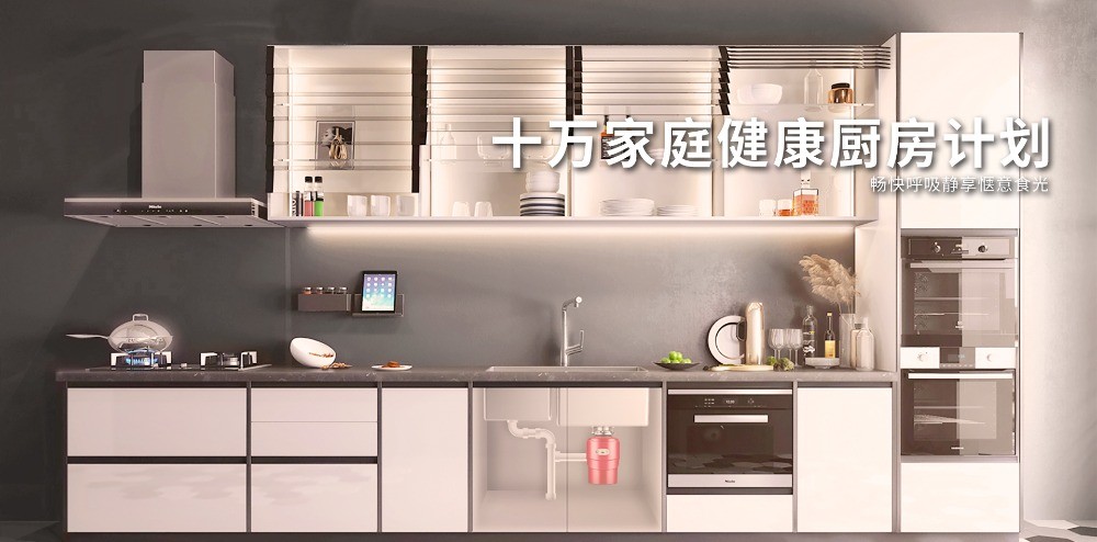 帝普森垃圾處理器