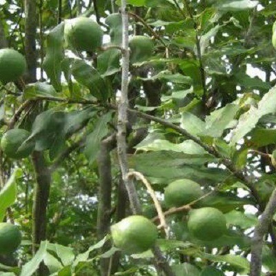 中國零食網(wǎng)