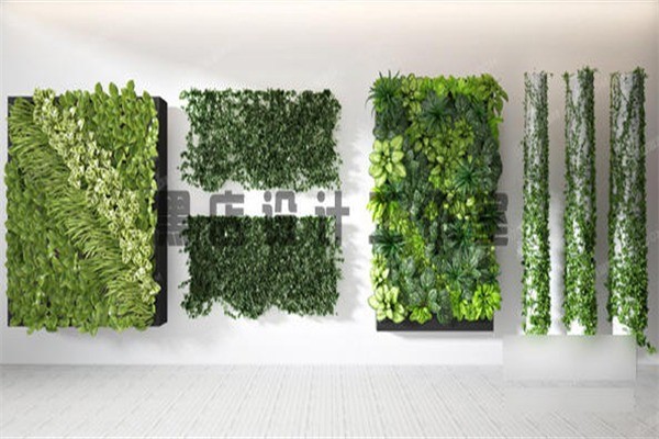 斯威特植物速成墻