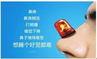 鼻炎暢養(yǎng)生館
