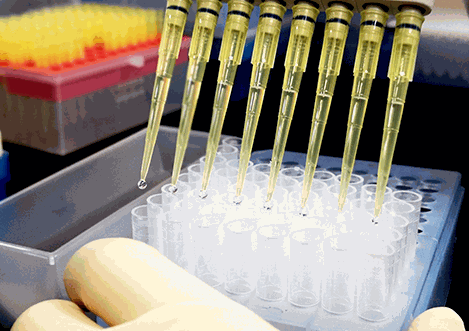 優(yōu)二十三基因檢測(cè)