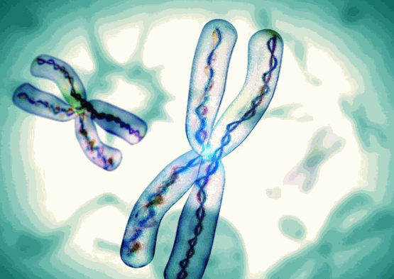 優(yōu)二十三基因檢測(cè)