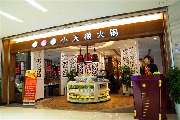 重慶小天鵝火鍋