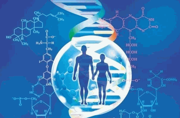 利普康基因檢測