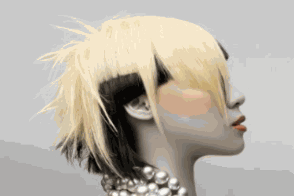 尚辰一佳美容美發(fā)培訓(xùn)