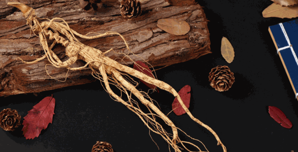 益元參號保健品