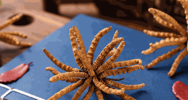 益元參號保健品