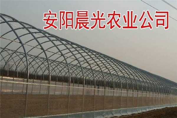 晨光農(nóng)業(yè)