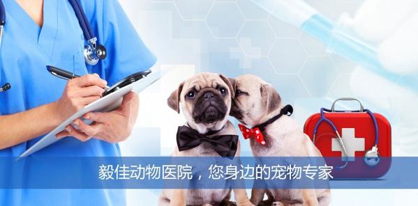 渾南寵物醫(yī)院