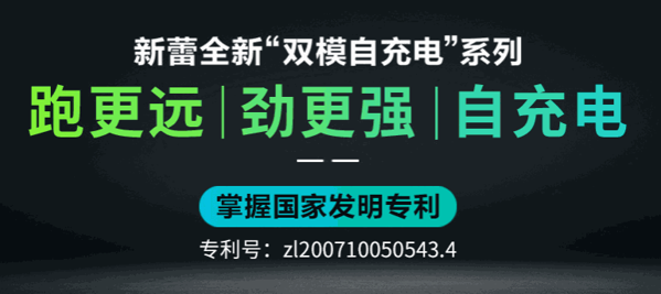 新蕾電動(dòng)車