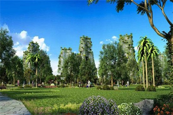 碧桂園森林城市