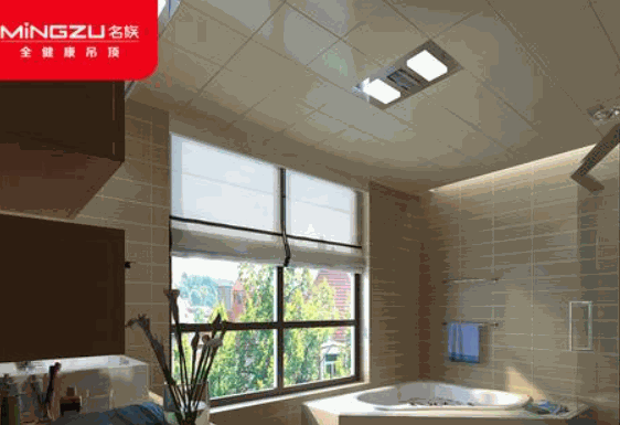 名族全健康吊頂