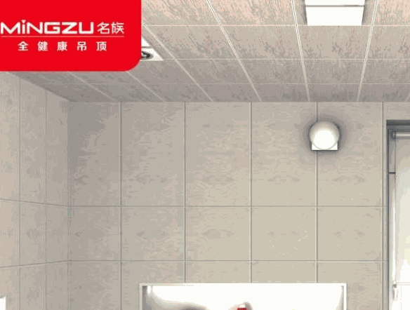 名族全健康吊頂