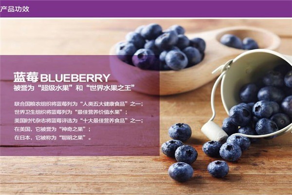 北極藍(lán)莓保健