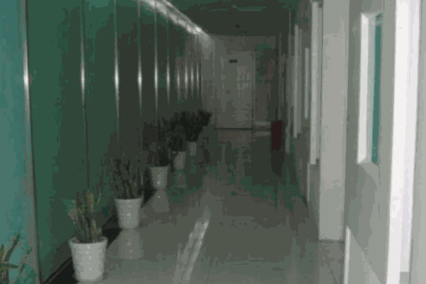 中路財產(chǎn)保險