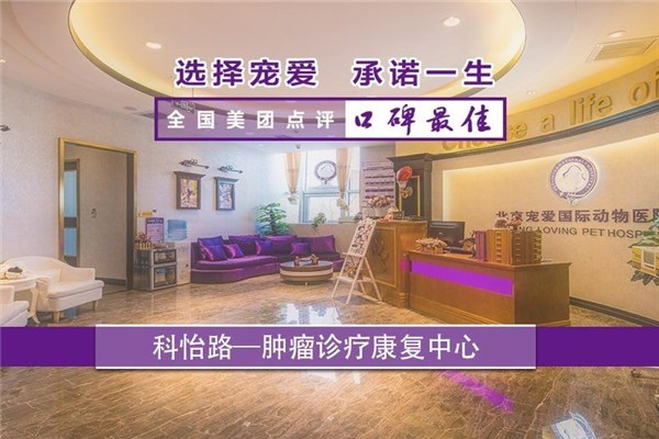 寵愛國際動物醫(yī)院