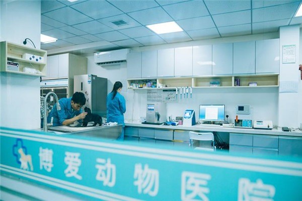 博愛動物醫(yī)院