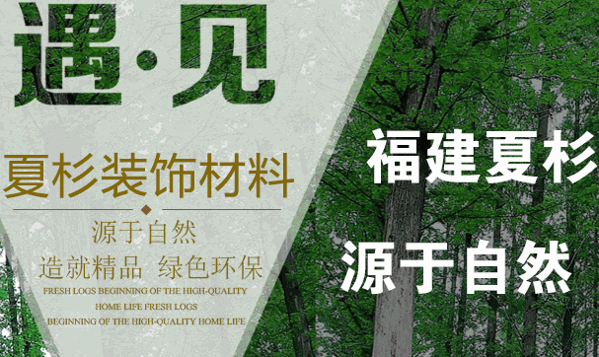 夏杉地板