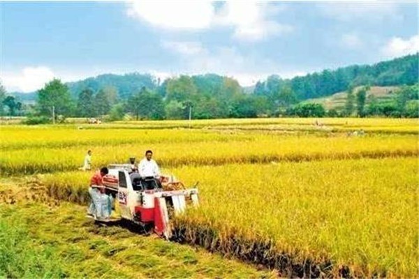 久月農(nóng)業(yè)