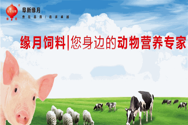 緣月飼料