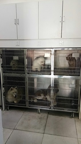 至尚寵物醫(yī)院