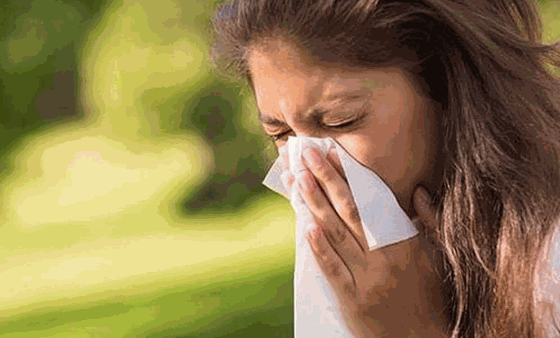 御龍?zhí)帽茄尊^