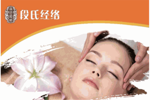 段氏經(jīng)絡(luò)