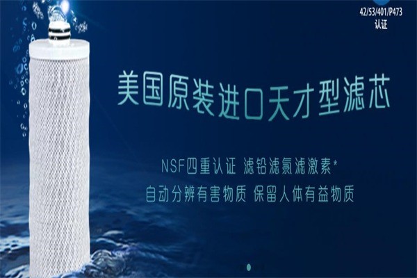 阿克薩納凈水器