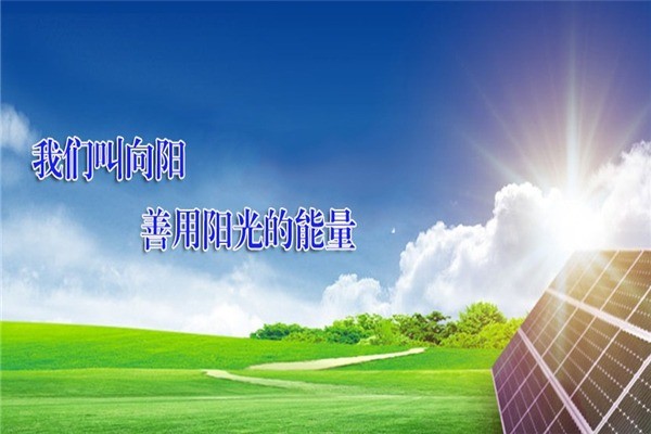 向陽新能源